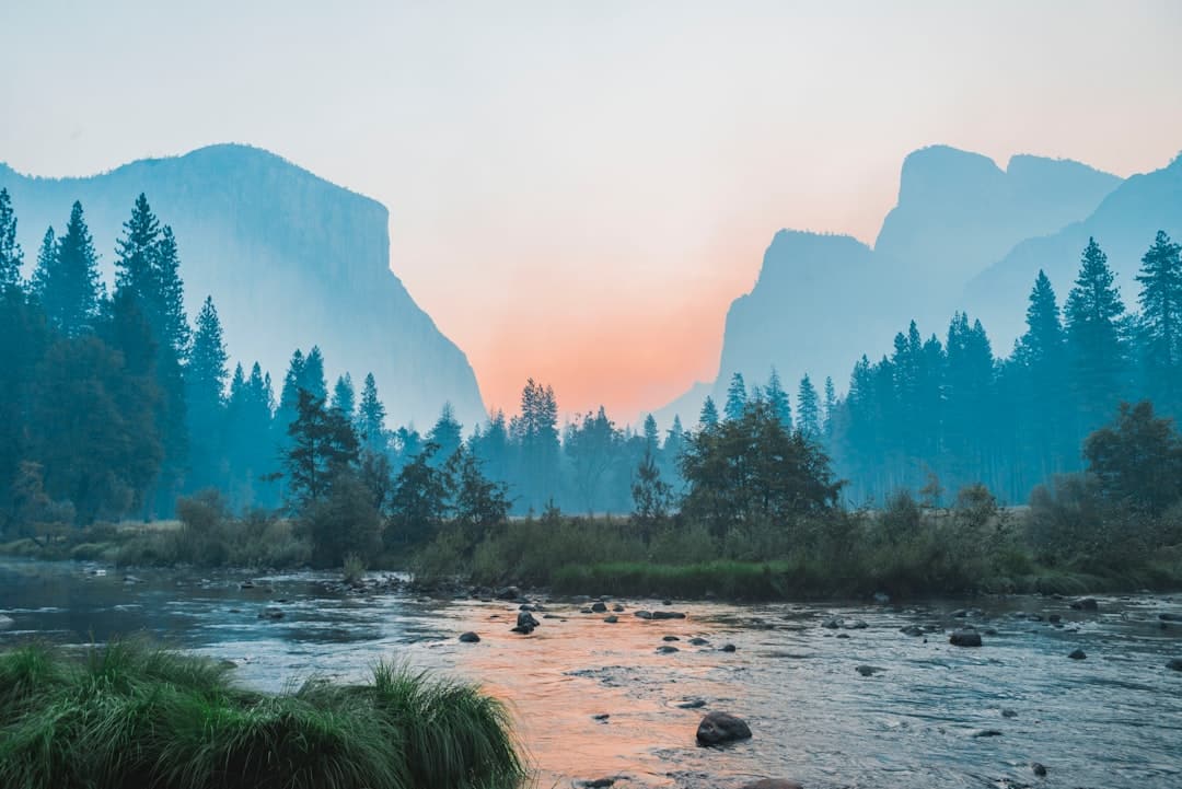 découvrez la beauté et la diversité de la nature à travers des paysages époustouflants, une faune fascinante et des plantes uniques. explorez les merveilles naturelles qui nous entourent et apprenez comment préserver notre environnement.