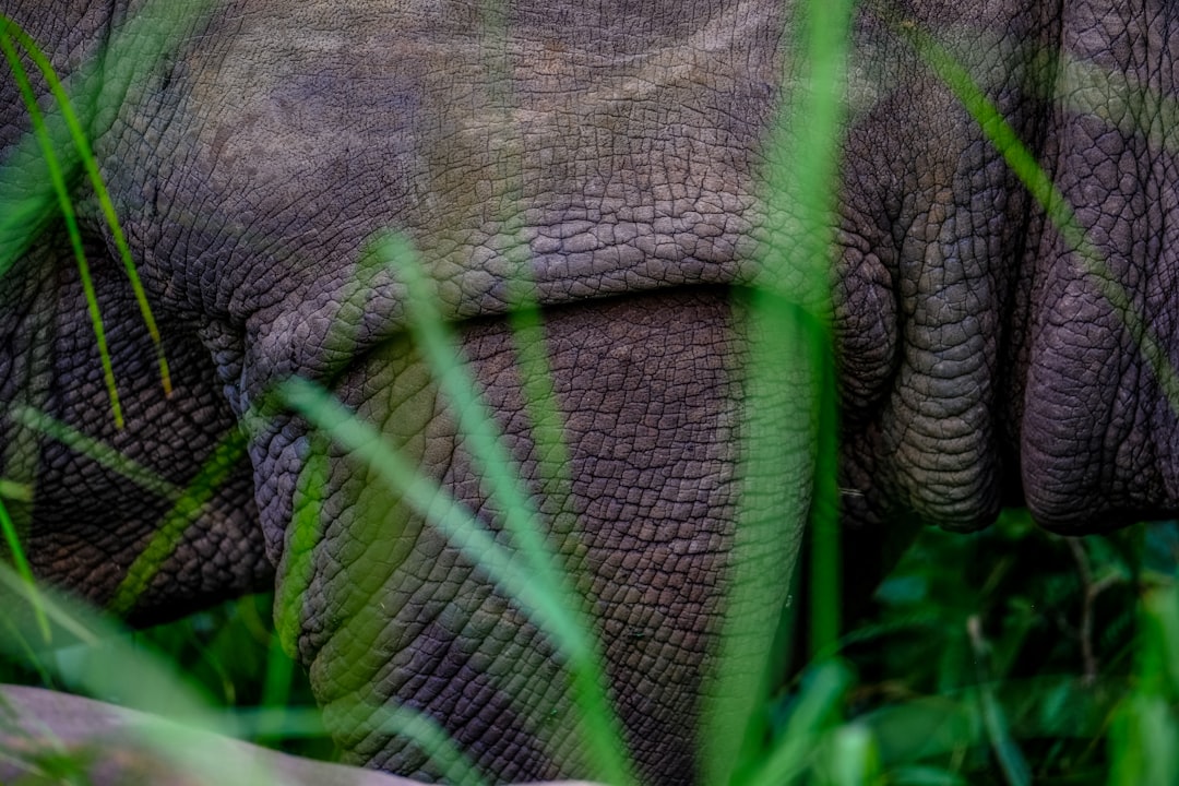 découvrez 'sanctuary', un monde où la tranquillité rencontre l'aventure. plongez dans un voyage fascinant rempli de mystères, de paysages époustouflants et d'expériences mémorables qui éveilleront vos sens et apaiseront votre esprit.