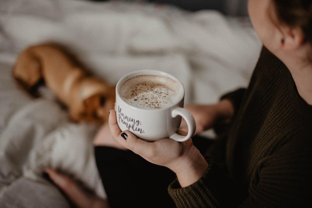 découvrez l'atmosphère chaleureuse et accueillante de nos espaces cozy, parfaits pour se détendre et profiter des petits plaisirs de la vie.