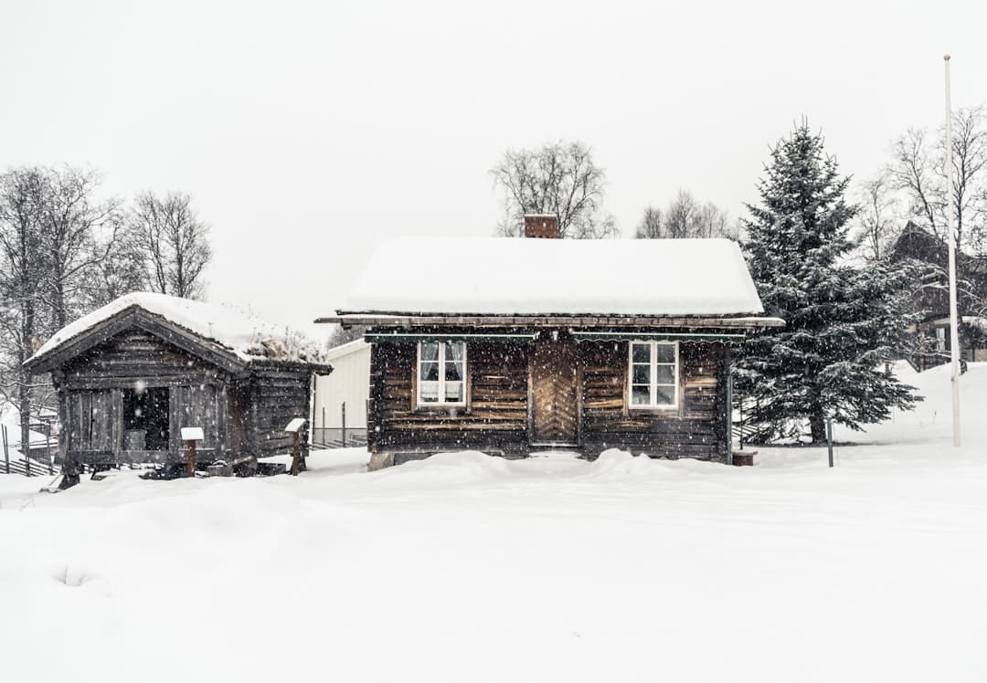 découvrez l'harmonie et le charme intemporel d'une maison en bois, alliant confort moderne et respect de l'environnement. explorez des designs uniques et écologiques pour votre refuge idéal.