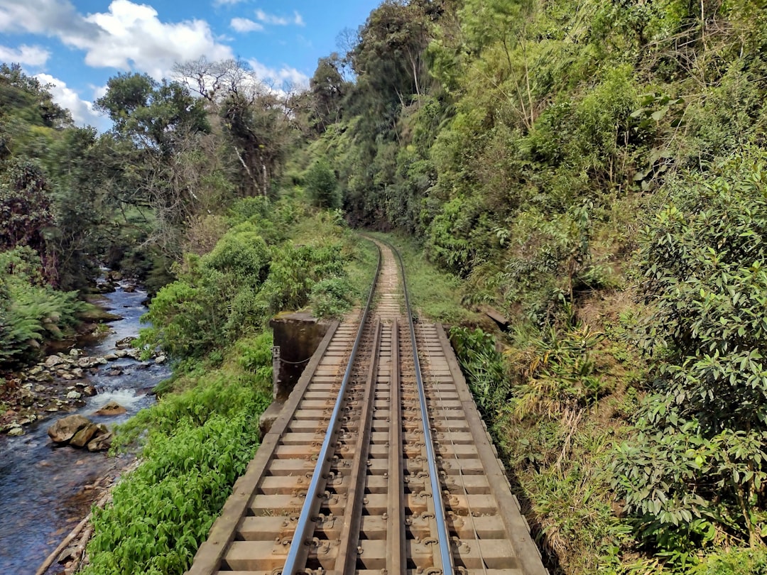 découvrez le plaisir du voyage en train : un moyen écologique, confortable et pittoresque pour explorer de nouvelles destinations. embarquez pour une aventure inoubliable au cœur des paysages.